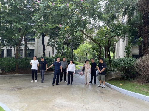 保亭县人大常委会主任王秀美到海南奥兰花园二期视察指导工作